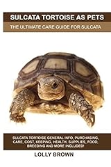 Sulcata tortoise pets for sale  Delivered anywhere in USA 