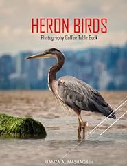 Heron birds photography for sale  Delivered anywhere in UK