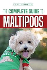 Complete guide maltipoos for sale  Delivered anywhere in USA 