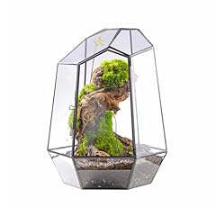 Ncyp terrarium géométrique d'occasion  Livré partout en France