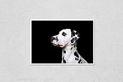 Hardpress wall art for sale  Delivered anywhere in USA 