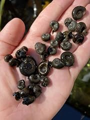 20x mix size for sale  Delivered anywhere in UK