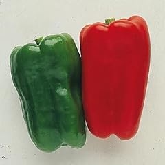 Sweet bell pepper for sale  Delivered anywhere in USA 