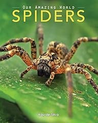 Spiders amazing pictures for sale  Delivered anywhere in UK