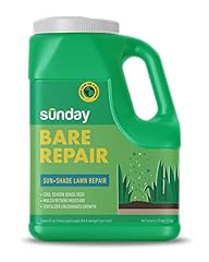 Sunday bare repair for sale  Delivered anywhere in USA 