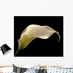 Wallmonkeys cala lilly for sale  Delivered anywhere in USA 