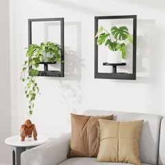 Duxeuwe picture frame for sale  Delivered anywhere in USA 