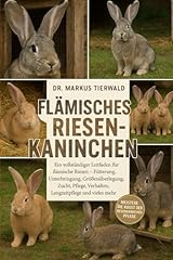 Flämisches riesenkaninchen vo gebraucht kaufen  Wird an jeden Ort in Deutschland