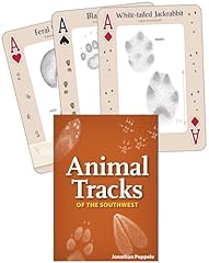 Animal tracks southwest for sale  Delivered anywhere in USA 