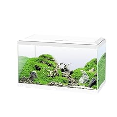 Ciano aquarium blanc d'occasion  Livré partout en Belgiqu