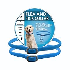 Hdakddhg pack dog for sale  Delivered anywhere in UK