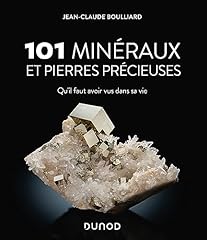 101 minéraux pierres d'occasion  Livré partout en France