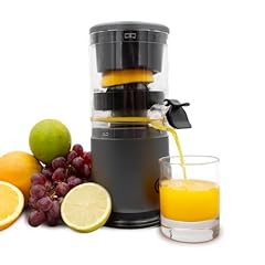 Livington juiceboost tragbarer gebraucht kaufen  Wird an jeden Ort in Deutschland