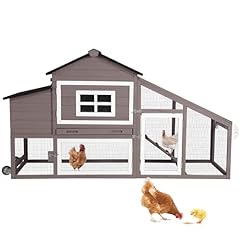 Chicken coop chickens for sale  Delivered anywhere in USA 