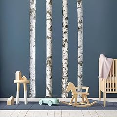 Large birch tree for sale  Delivered anywhere in USA 