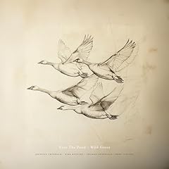 Wild geese for sale  Delivered anywhere in UK