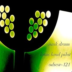 Junk drum for sale  Delivered anywhere in USA 