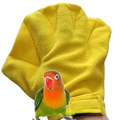 Unmulfc pair parrot for sale  Delivered anywhere in USA 