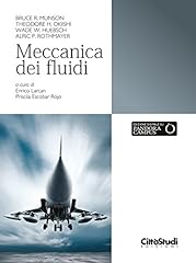 Meccanica dei fluidi usato  Spedito ovunque in Italia 