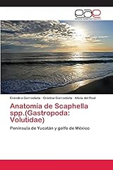 Anatomía scaphella spp. for sale  Delivered anywhere in USA 