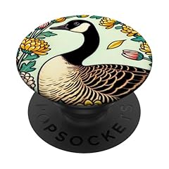 Canadian goose illustration for sale  Delivered anywhere in USA 