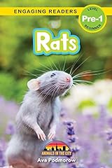 Rats animals city for sale  Delivered anywhere in USA 