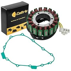 Caltric stator gasket for sale  Delivered anywhere in USA 