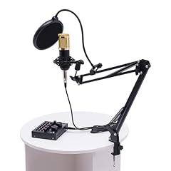 Schnittstelle mixer sprachwech gebraucht kaufen  Wird an jeden Ort in Deutschland