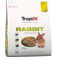 Rabbit junior premium usato  Spedito ovunque in Italia 