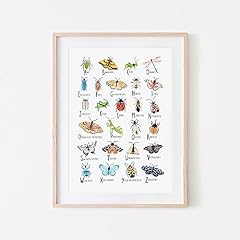 Insect alphabet print for sale  Delivered anywhere in USA 