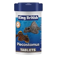 King british plecostomus for sale  Delivered anywhere in UK