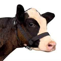 Perixir cow halter for sale  Delivered anywhere in UK