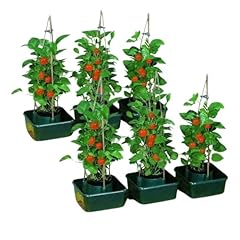 Garden mile vasi usato  Spedito ovunque in Italia 