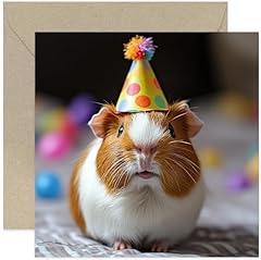 Cute guinea pig for sale  Delivered anywhere in UK