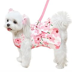 Abrrlo cute dog for sale  Delivered anywhere in USA 