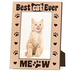 Best cat ever for sale  Delivered anywhere in USA 