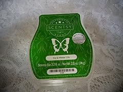 New scentsy ivy for sale  Delivered anywhere in USA 