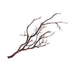 Kahee plants manzanita for sale  Delivered anywhere in USA 