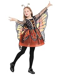 Seasons beauty butterfly for sale  Delivered anywhere in USA 