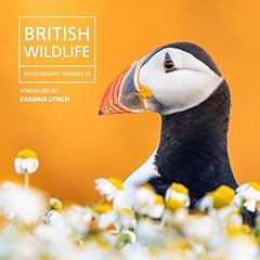 British wildlife photography for sale  Delivered anywhere in UK