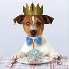 Photographic greeting card for sale  Delivered anywhere in UK