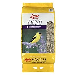 Lyric finch small for sale  Delivered anywhere in USA 