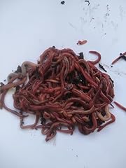 50g tiger worms for sale  Delivered anywhere in UK