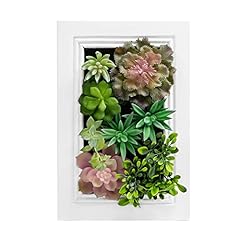 Nattol artificial succulent for sale  Delivered anywhere in USA 