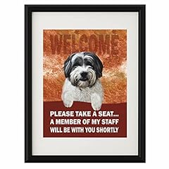 Tibetan terrier dog for sale  Delivered anywhere in UK