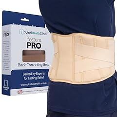 Spinalhealthclinics posture co for sale  Delivered anywhere in Ireland