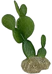 Komodo prickley pear for sale  Delivered anywhere in USA 