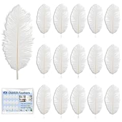 15pcs ostrich feathers for sale  Delivered anywhere in UK