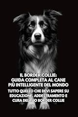 Border collie guida usato  Spedito ovunque in Italia 