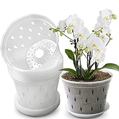 Lanccona orchid pot for sale  Delivered anywhere in USA 